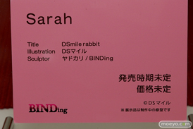 BINDing DSmile rabbit Sarah 13