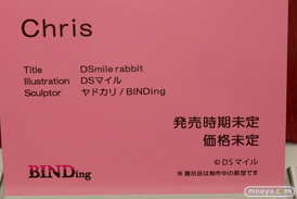 BINDing DSmile rabbit Chris 15