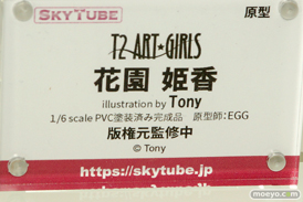 スカイチューブ T2 ART★GIRLS 花園姫香 illustration by Tony フィギュア エロ キャストオフ EGG 13