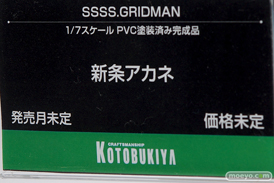 コトブキヤ SSSS.GRIDMAN 新条アカネ フィギュア 09