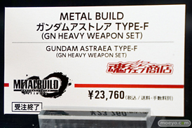 METAL BUILD∞ -メタルビルドインフィニティ- 22