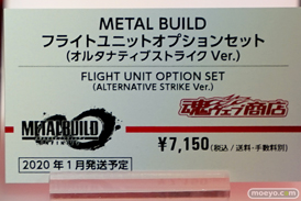 METAL BUILD∞ -メタルビルドインフィニティ- 38