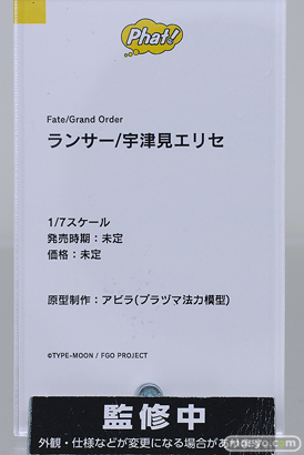 ファット・カンパニー Fate/Grand Order ランサー/宇津見エリセ アビラ フィギュア スマイルフェス2022　13