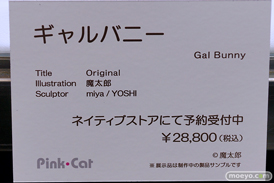 第4回 ネイティブ フィギュア展示会（エロホビ） エロ フィギュア キャストオフ のくちゅるぬ  マジックバレット Pink・Cat クレイラドール 18