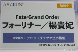 ‎AMAKUNI Fate/Grand Order フォーリナー／楊貴妃 アビラ メガホビEXPO2022 NEW DOT フィギュア 16