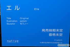 ネイティブ エル モワノー saitom 第4回 ネイティブ フィギュア展示会（エロホビ） エロ フィギュア キャストオフ 25