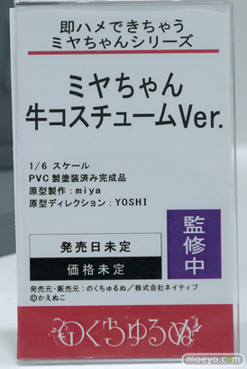 ワンダーフェスティバル2024 [夏]  フィギュア キャストオフ エロ ノクターン のくちゅるぬ 鬼崎きらら 28