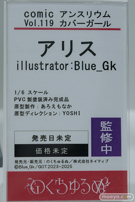 ワンダーフェスティバル2024 [夏]  フィギュア キャストオフ エロ ノクターン のくちゅるぬ 鬼崎きらら 33