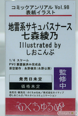 ワンダーフェスティバル2024 [夏]  フィギュア キャストオフ エロ ノクターン のくちゅるぬ 鬼崎きらら 39