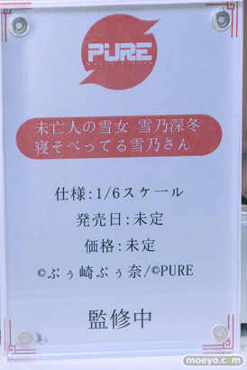 ワンダーフェスティバル2024 [夏]  フィギュア キャストオフ エロ あみあみホビーキャンプSPPURE 15