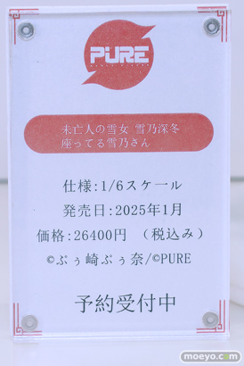 ワンダーフェスティバル2024 [夏]  フィギュア キャストオフ エロ あみあみホビーキャンプSPPURE 17