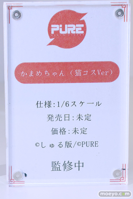 ワンダーフェスティバル2024 [夏]  フィギュア キャストオフ エロ あみあみホビーキャンプSPPURE 21