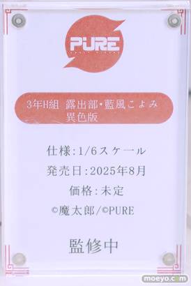 ワンダーフェスティバル2024 [夏]  フィギュア キャストオフ エロ あみあみホビーキャンプSPPURE 25