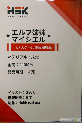 ワンダーフェスティバル2024 [夏]  フィギュア あみあみホビーキャンプ Hobby sakura　10