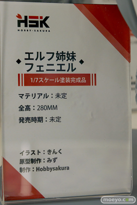 ワンダーフェスティバル2024 [夏]  フィギュア あみあみホビーキャンプ Hobby sakura　16