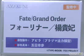 FGO Expo ～Fate/Grand Order Fes. 2024 9th Anniversary～　グッドスマイルカンパニー  KADOKAWA AMAKUNI 47