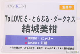 ワンダーフェスティバル2024 [夏]  フィギュア あみあみホビーキャンプ AMAKUNI　09