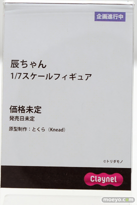 ワンダーフェスティバル2024 [夏]  フィギュア アニプレックス クレーネル 13