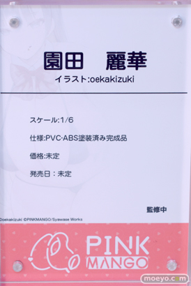 PinkMango 園田麗華 特別Ver. illustration by oekakizuki 豪華版 ワンダーフェスティバル2024 [夏]  フィギュア キャストオフ エロ 12