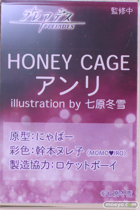 プレアデス HONEY CAGE　アンリ illustration by 七原冬雪 にゃばー 幹本ヌレ子  ロケットボーイ ワンダーフェスティバル2024 [夏]  フィギュア キャストオフ エロ 12