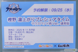 秋葉原の新作フィギュア展示の様子 2024年9月21日 あみあみ 31