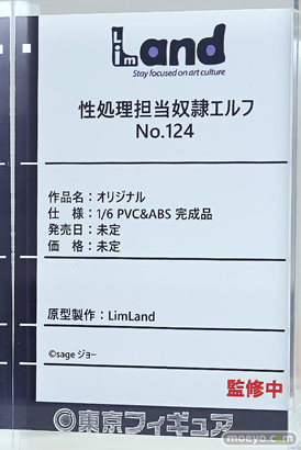 Lim Land 傭兵団の気高き性奴隷 ハイエルフ女王アイリーン ワンダーフェスティバル2024 [夏]  フィギュア キャストオフ エロ  法爺wizard 小時 11