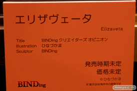 第9回 ネイティブグループ合同展示会（エロホビ） エロ フィギュア キャストオフ BINDing 22