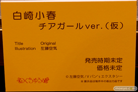 第9回 ネイティブグループ合同展示会（エロホビ） エロ フィギュア キャストオフ UnBOUND  のくちゅるぬ 08