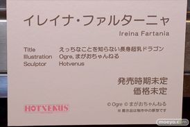 第9回 ネイティブグループ合同展示会（エロホビ） エロ フィギュア キャストオフ HOTVENUS えっちなことを知らない長身超乳ドラゴン イレイナ・ファルターニャ Ogre まがおちゃんねる 18