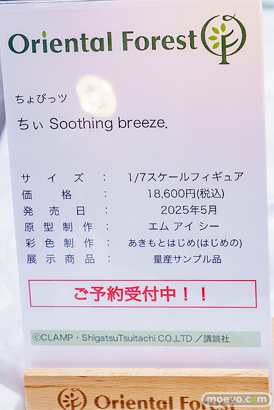 秋葉原の新作フィギュア展示の様子 2024年11月30日 あみあみ  18