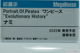 メガハウス Portrait.Of.Pirates ワンピース “Evolutionary History” ナミ メガホビEXPO2024 Past to the Future フィギュア 11