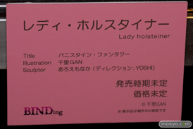 第9回 ネイティブグループ合同展示会（エロホビ） エロ フィギュア キャストオフ BINDing あろえもなか YOSHI 松田モデル 千里GAN バニスタイン・ファンタジー レディ・ホルスタイナー 17