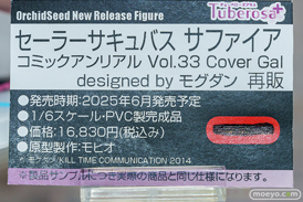 秋葉原の新作フィギュア展示の様子 2024年12月21日 ボークスホビー天国2 東京フィギュア   07