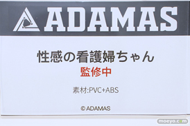 ワンダーフェスティバル2024 [夏]  フィギュア キャストオフ エロ ADAMAS 性感の看護婦ちゃん ダブルVer. Sueスーエ 14