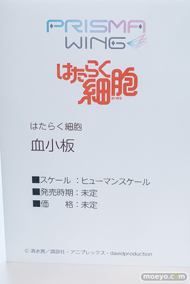 秋葉原の新作フィギュア展示の様子 2025年1月25日 コトブキヤ コミックZIN 東京フィギュアギャラリー  28