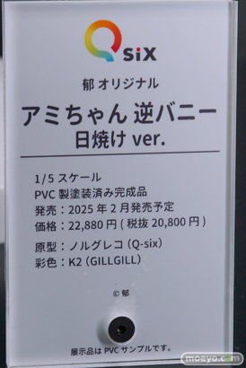 ワンダーフェスティバル2025 [冬]  フィギュア キャストオフ エロ Q-six 67