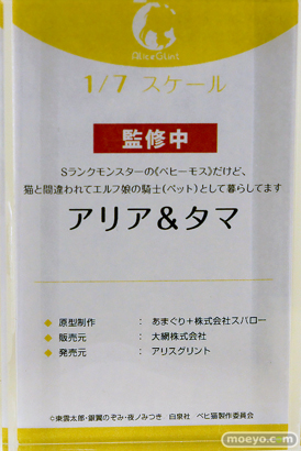 ワンダーフェスティバル2025 [冬]  フィギュア あみあみホビーキャンプ アリスグリント 11