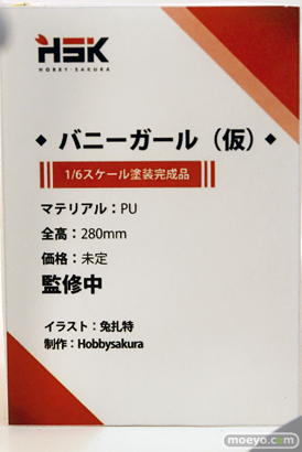 ワンダーフェスティバル2025 [冬]  フィギュア あみあみホビーキャンプ Hobby sakura  07