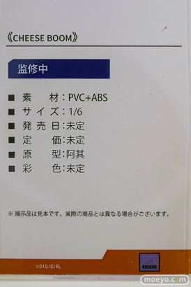 ワンダーフェスティバル2025 [冬]  フィギュア あみあみホビーキャンプ UMIKAWA WILD MELODY DIGIGIRL freyja CatNoodle 尺玉 ASCENDIA Otherwhere 16