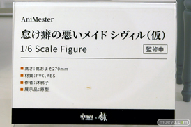 ワンダーフェスティバル2025 [冬]  フィギュア あみあみホビーキャンプ 大漫匠アニメスター 核金重構 EUSUN SIKI ANIM 06