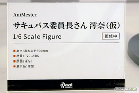 ワンダーフェスティバル2025 [冬]  フィギュア あみあみホビーキャンプ 大漫匠アニメスター 核金重構 EUSUN SIKI ANIM 09