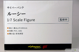 ワンダーフェスティバル2025 [冬]  フィギュア あみあみホビーキャンプ 大漫匠アニメスター 核金重構 EUSUN SIKI ANIM 15