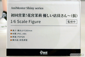 ワンダーフェスティバル2025 [冬]  フィギュア あみあみホビーキャンプ 大漫匠アニメスター 核金重構 EUSUN SIKI ANIM 22