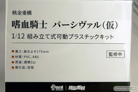 ワンダーフェスティバル2025 [冬]  フィギュア あみあみホビーキャンプ 大漫匠アニメスター 核金重構 EUSUN SIKI ANIM 24