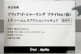 ワンダーフェスティバル2025 [冬]  フィギュア あみあみホビーキャンプ 大漫匠アニメスター 核金重構 EUSUN SIKI ANIM 28