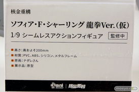 ワンダーフェスティバル2025 [冬]  フィギュア あみあみホビーキャンプ 大漫匠アニメスター 核金重構 EUSUN SIKI ANIM 31