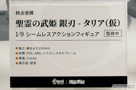 ワンダーフェスティバル2025 [冬]  フィギュア あみあみホビーキャンプ 大漫匠アニメスター 核金重構 EUSUN SIKI ANIM 35