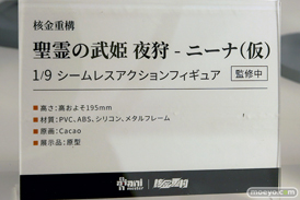 ワンダーフェスティバル2025 [冬]  フィギュア あみあみホビーキャンプ 大漫匠アニメスター 核金重構 EUSUN SIKI ANIM 40