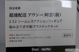 ワンダーフェスティバル2025 [冬]  フィギュア あみあみホビーキャンプ 大漫匠アニメスター 核金重構 EUSUN SIKI ANIM 44