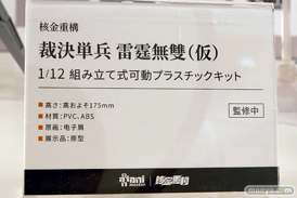 ワンダーフェスティバル2025 [冬]  フィギュア あみあみホビーキャンプ 大漫匠アニメスター 核金重構 EUSUN SIKI ANIM 52